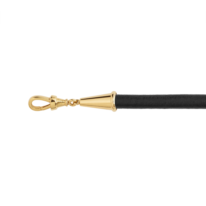 Black lasso