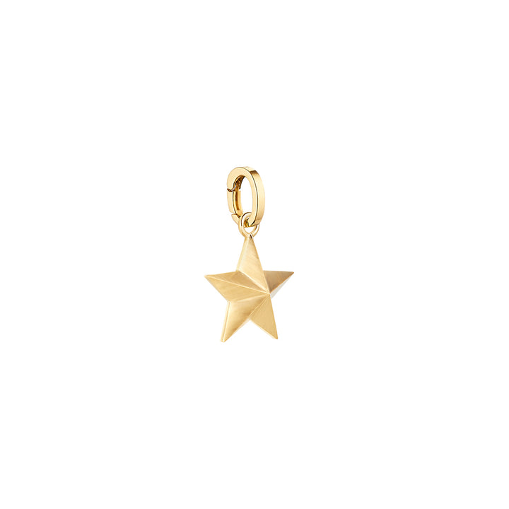 PM Star pendant