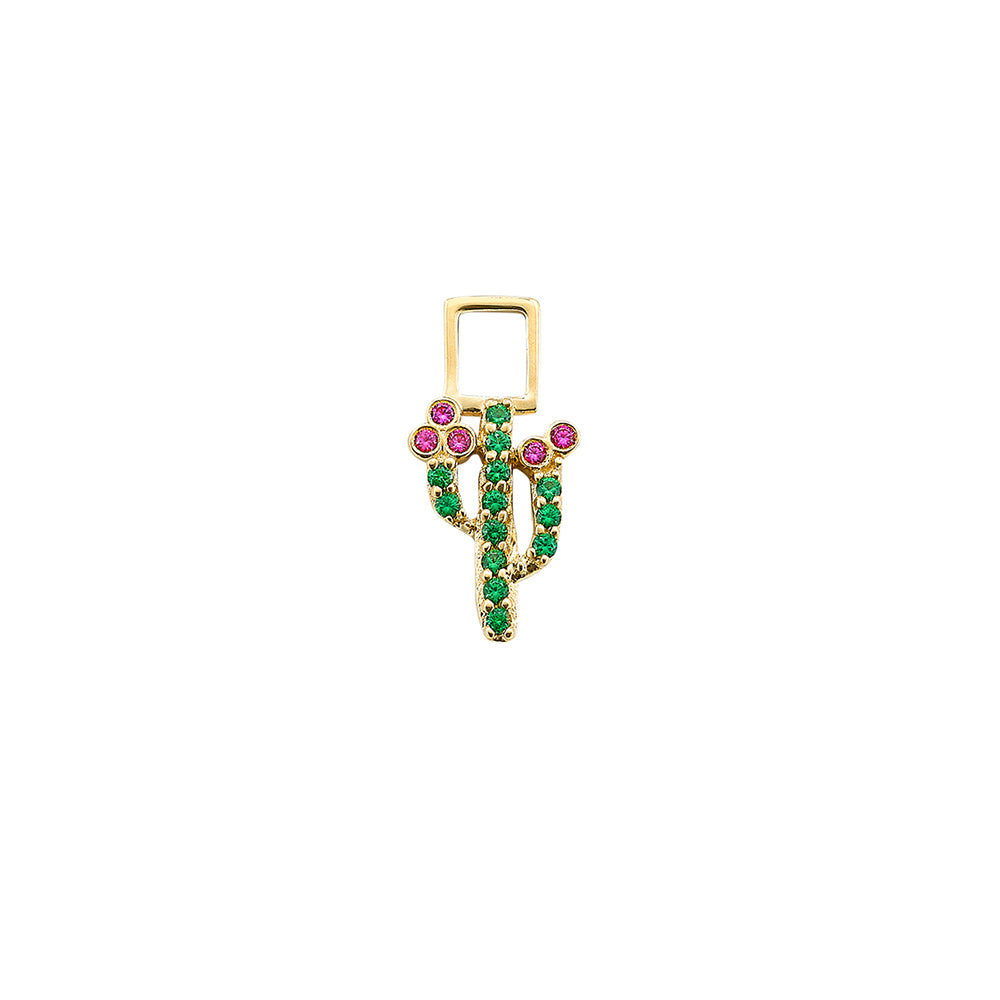 EarWish Cactus