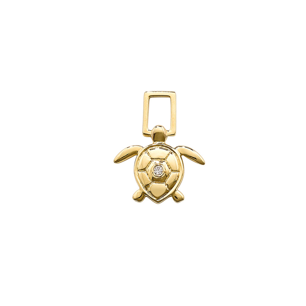 EarWish Turtle